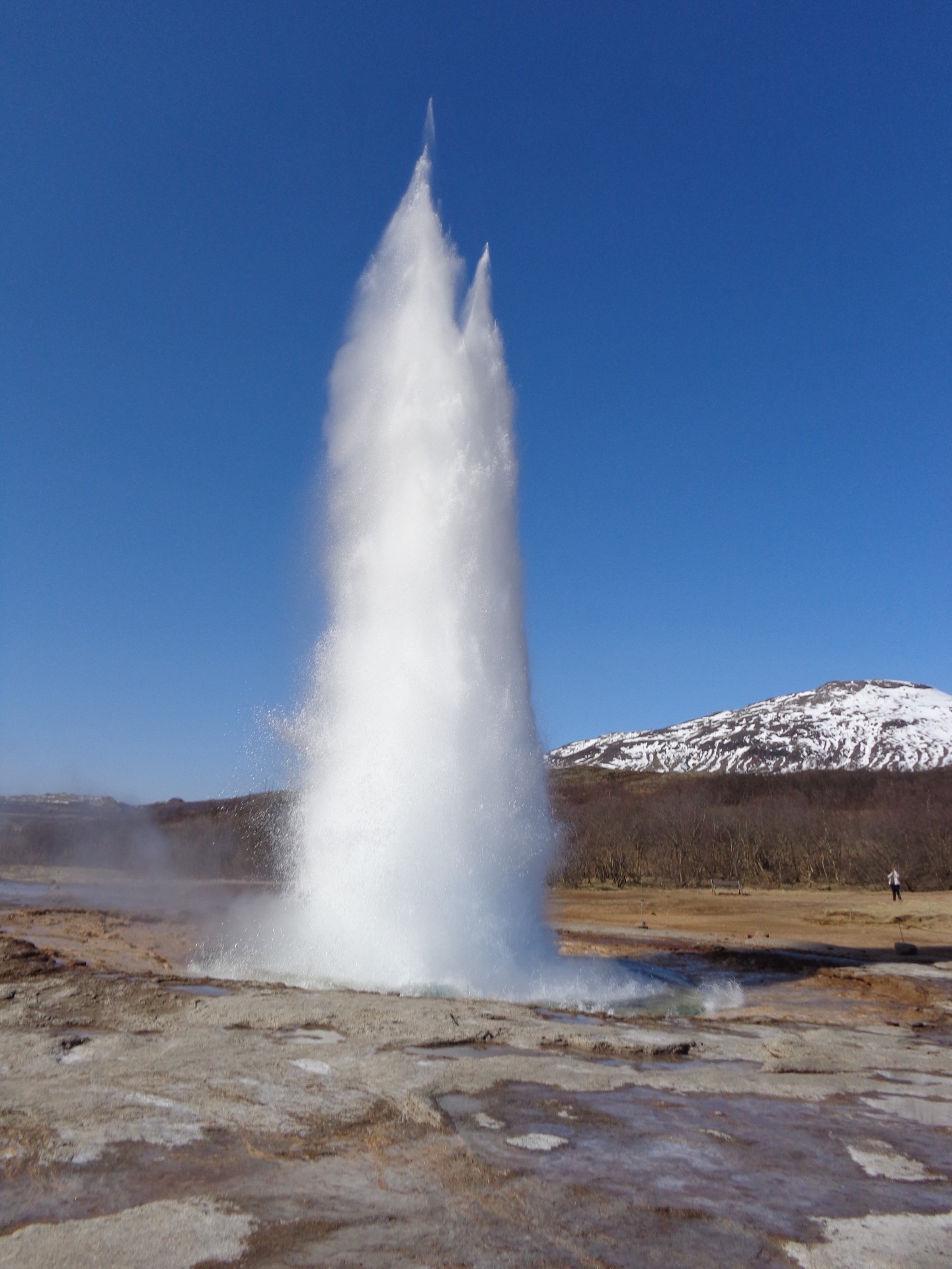 Geysir
